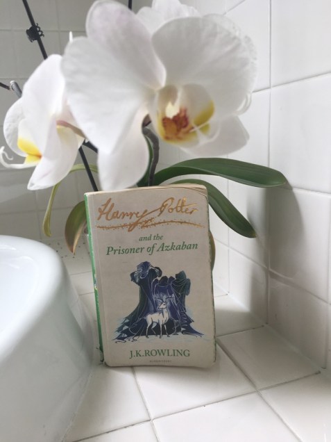 UNADJUSTEDNONRAW_thumb_454