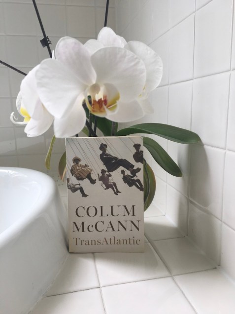 UNADJUSTEDNONRAW_thumb_45c